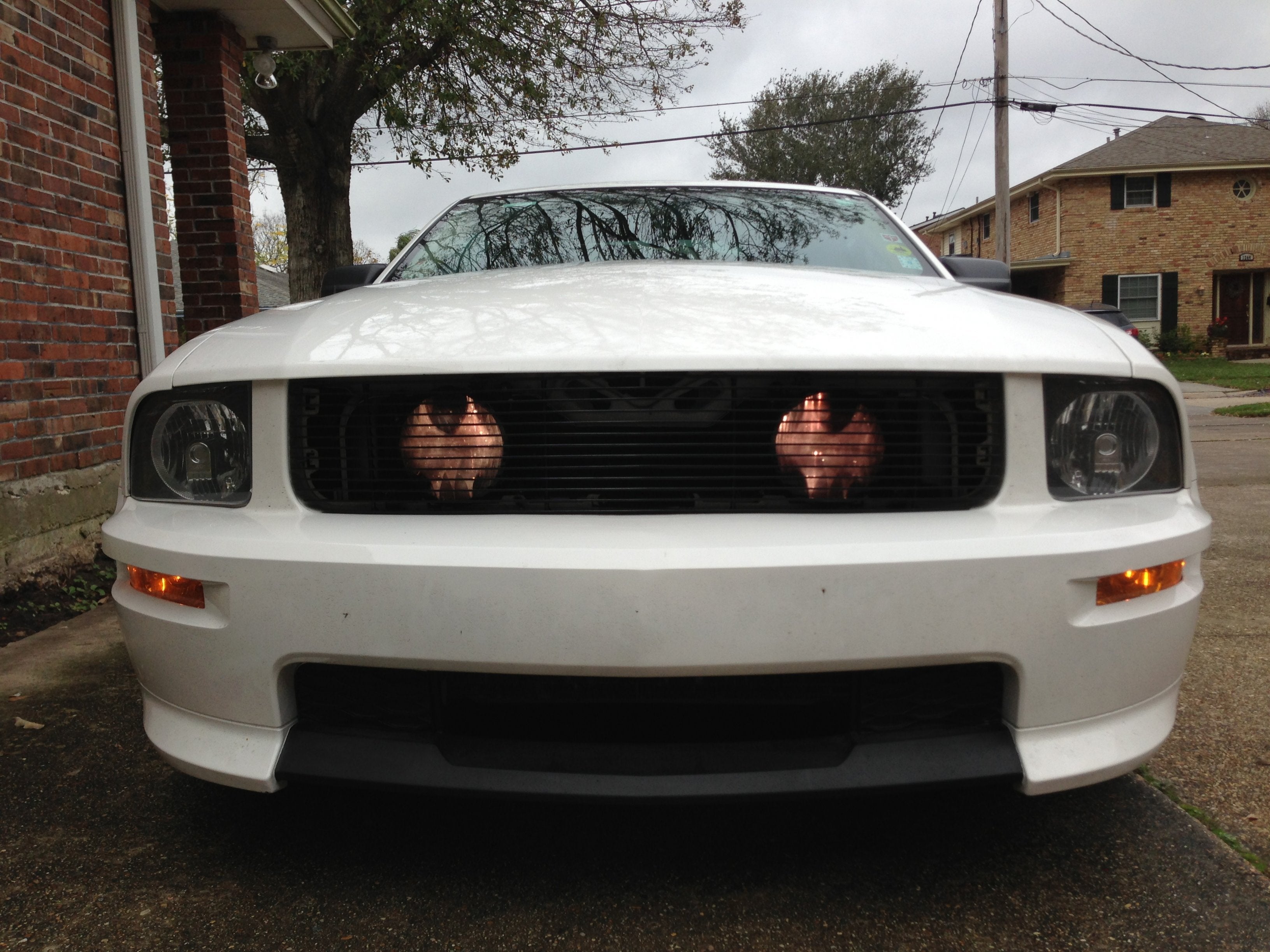 Hidden fog light grille installed! Mustang Evolution